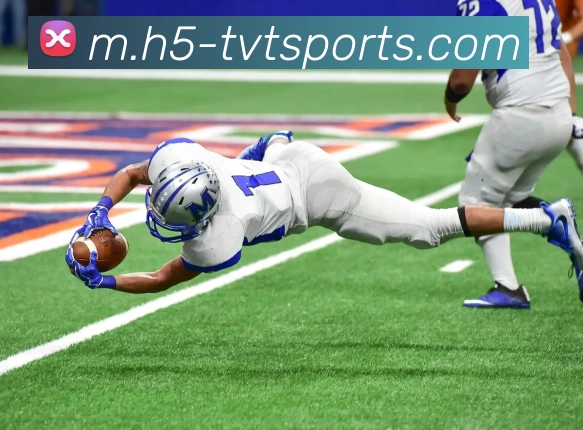 体育下注APP 封面图